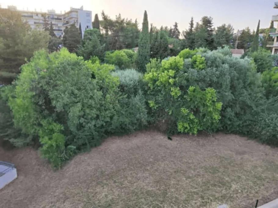 Magnifique Rooftop Duplex Climatise Familial, Aux Arceaux Монпелие Екстериор снимка