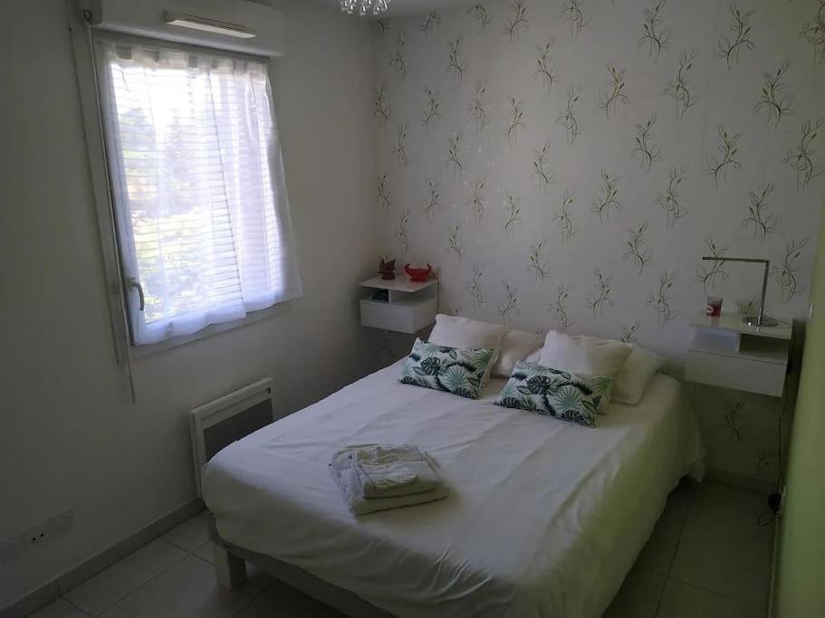 Magnifique Rooftop Duplex Climatise Familial, Aux Arceaux Монпелие Екстериор снимка
